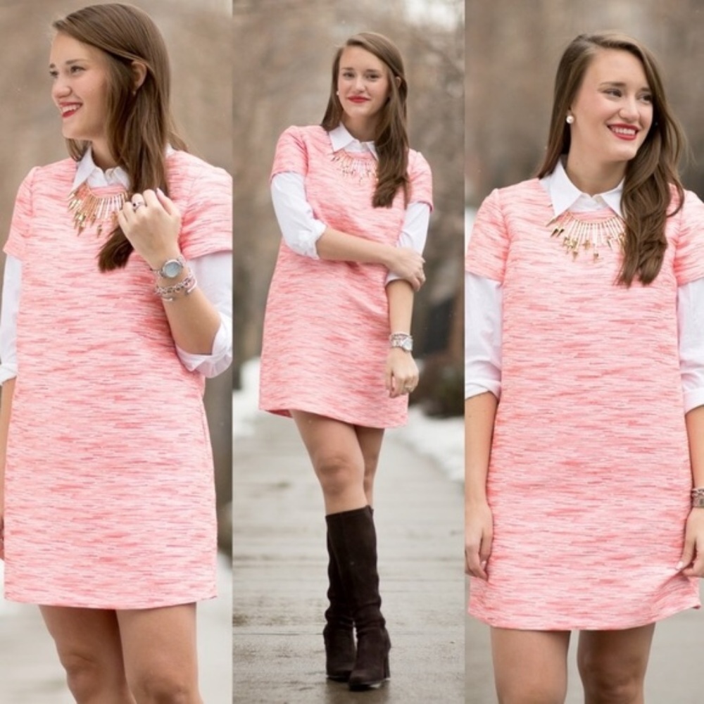 CeCe Pink Katye Shift Dress Size 6